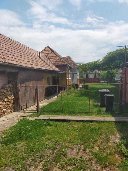 Vand casa Ru?ii Munti - 9