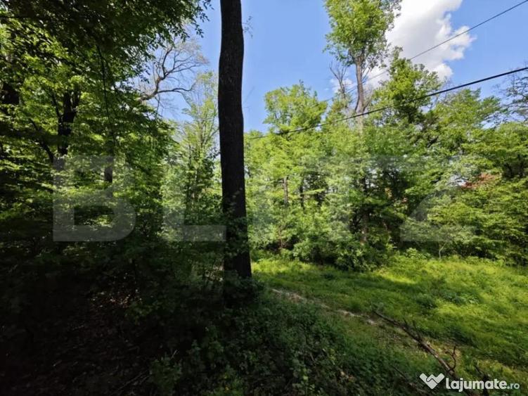 Padure in Barnova 1800 mp + 600 mp teren pentru casa - 2