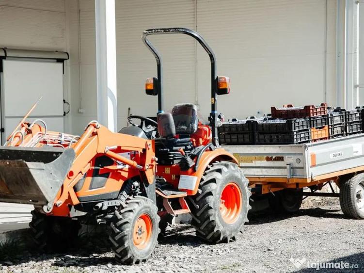 Plantatie de afin din Romania BUSINESS DE VANZARE - 7