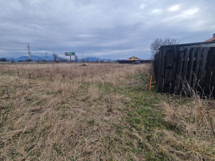 Teren Harman 1000mp - 4