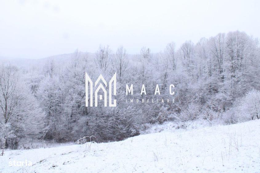 Teren cu izvor de apa minerala Dange?ti, Punctul Valea Mare - 8