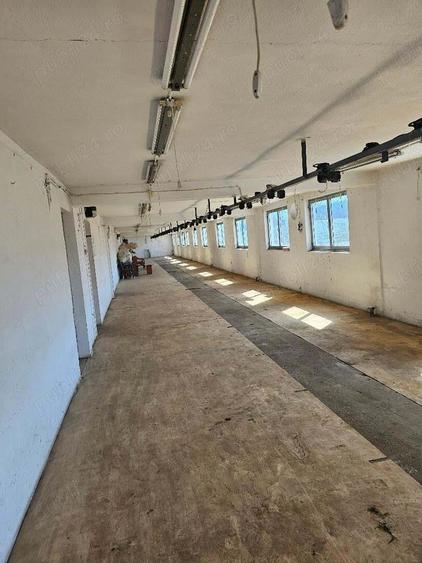 Vand Hale cu teren Zona Metro,( fosta fabrica),teren 14500 mp ,Hale 9 cladiri P+E, platf betonate - 4