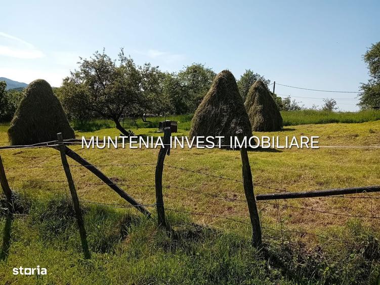Teren 5596 mp. Com.Bradulet ,sat Galesu. - 6