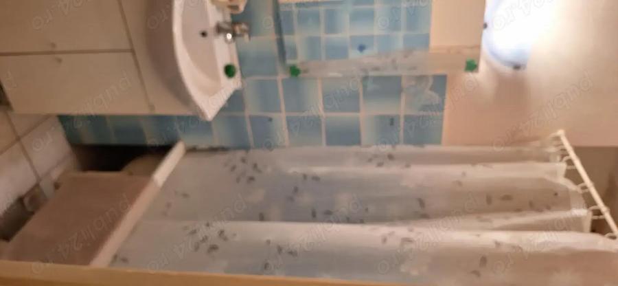 Apartament 3 camere Ady - 2