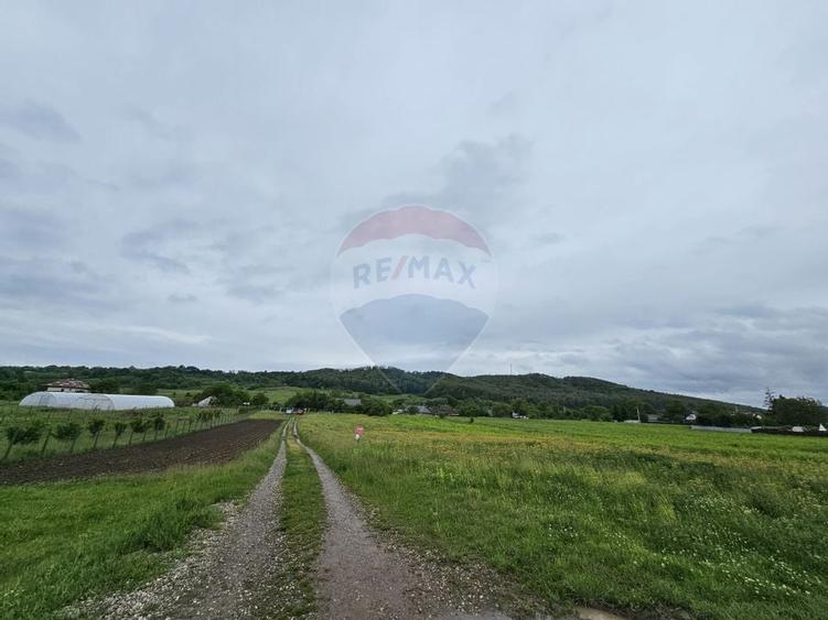 Teren 1,495mp Dobreni / Strada Parau Almas - 1