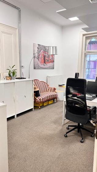 Spatiu de birouri, 230 mp, ultracentral, zona Strazii Regele Ferdinand - 8