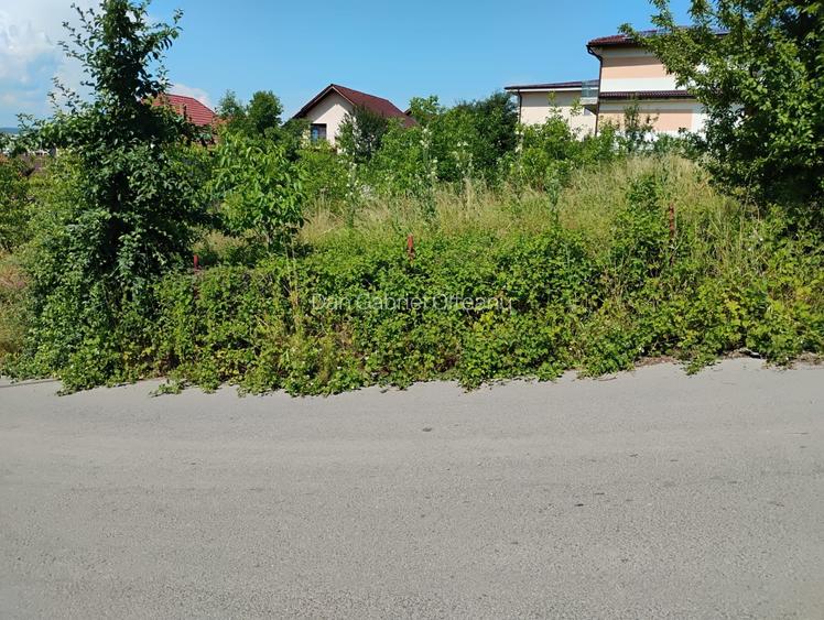Teren pentru duplex sau casa individuala Dambu Rotund
