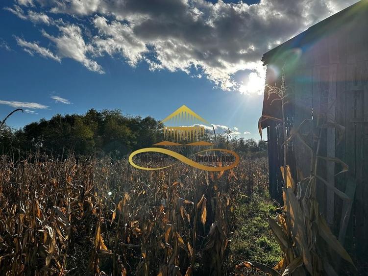 Casa batraneasca din caramida de vanzare si 4500 mp teren Negri Bacau - 20