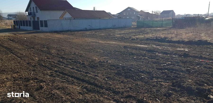 Teren de 500 mp, în Veterani