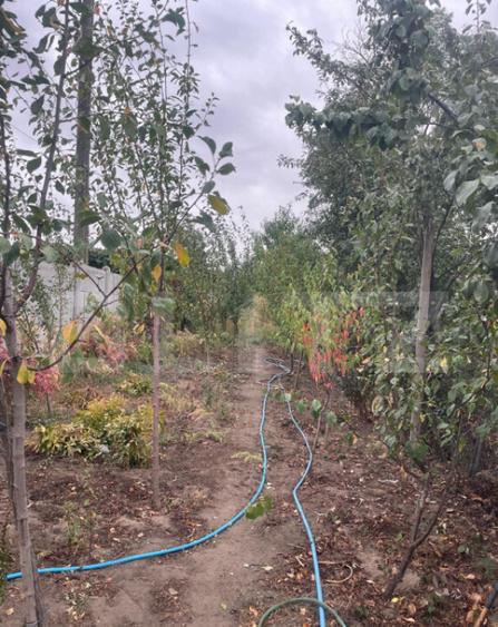 Casa 4 camere, 790 mp teren, zona Bariera Vilcii - 3