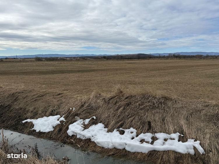 Teren extravilan | Radau?i zona Jalcau | 3.900 mp | 41 m front - 1