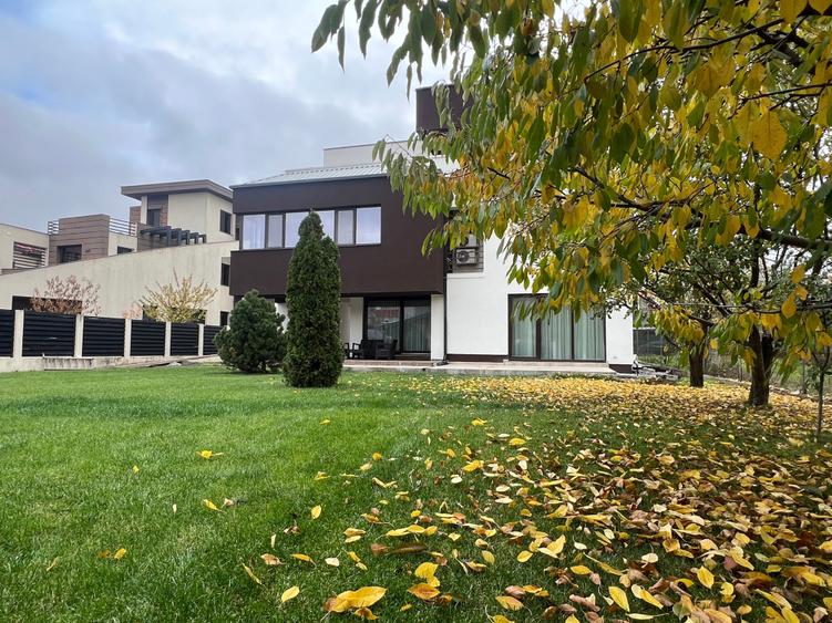 Dimitrie Leonida Metrou - 40