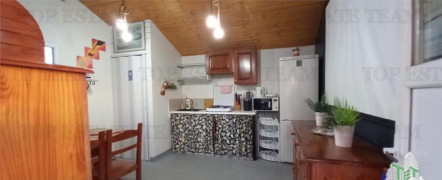 VILA TURISTICA SUPERBA COSTINESTI - 8