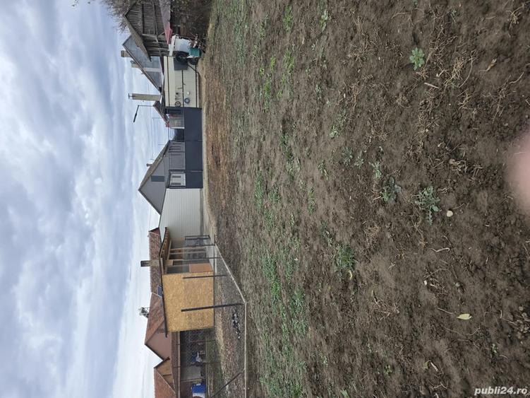 Vand casa cu gradina in Ciumeghiu - 2
