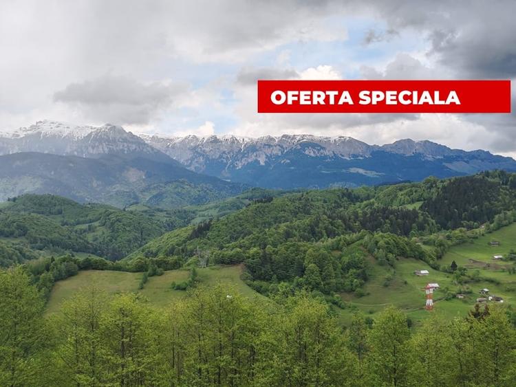 Oportunitate rara! Teren 7.283 mp, investitie garantata - 2