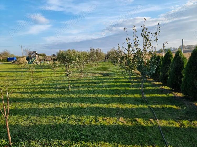 Casa la gata de vanzare in municipiul Dorohoi str. Dealu Mare - 4