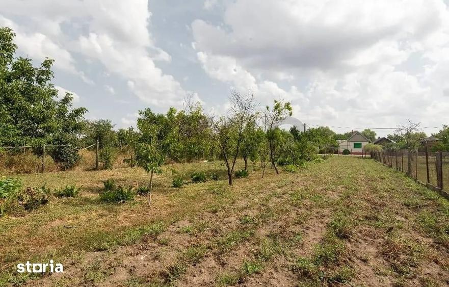 Casă cu 4 camere cu Teren 1672 Mp în Tămășeu