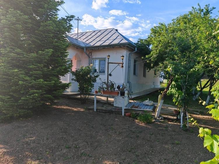 Casă cu 4 camere cu Teren 3000 Mp în Central