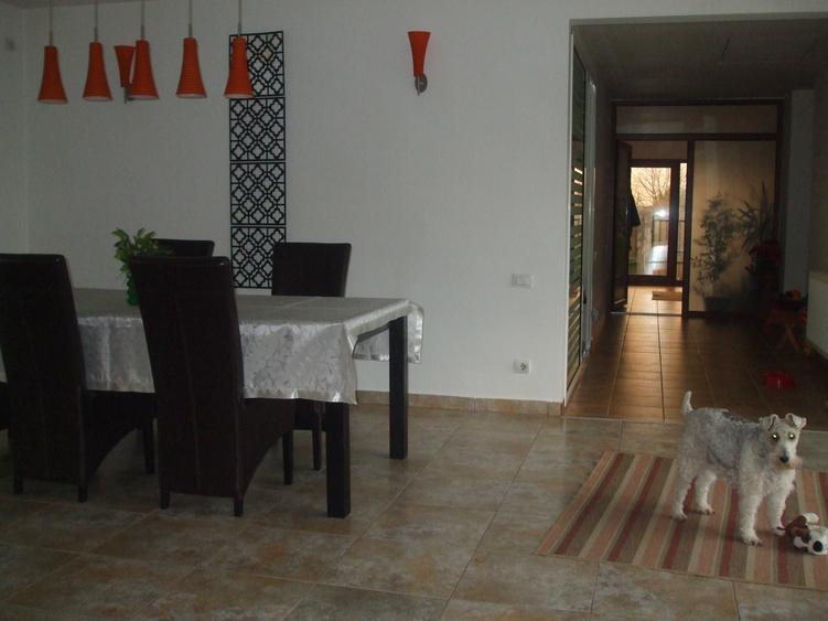 casa de vinzare pe pamint - 1