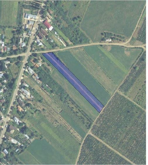 Teren de 3790 mp, în Podgoria