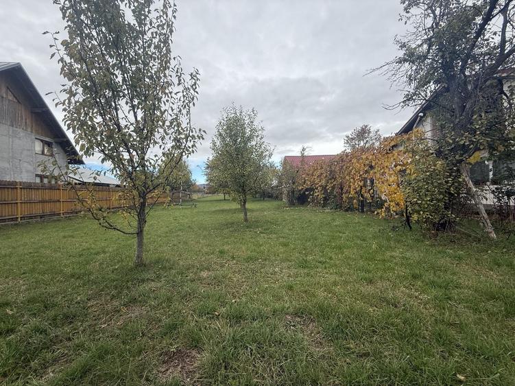 Teren Construcții intravilan de 2331 mp, în Brebu Megieșesc