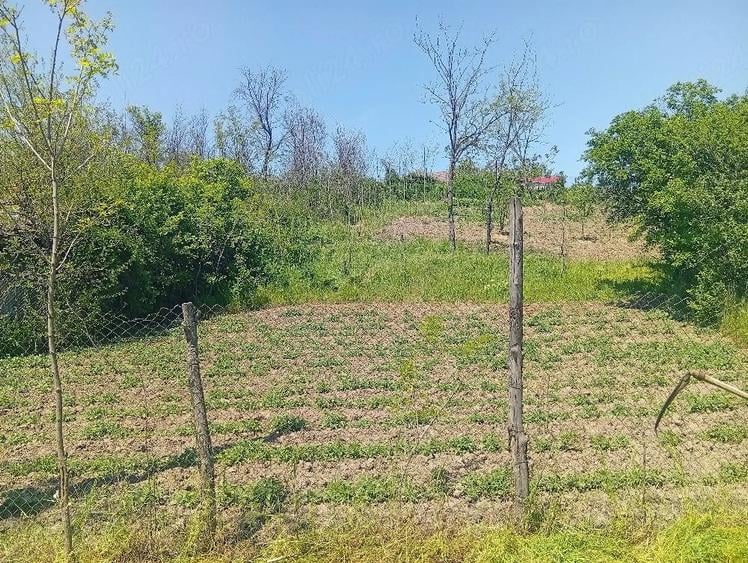 Teren de 860 mp, în Leu