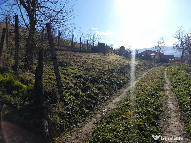 Teren de 600 mp, în Niculițel