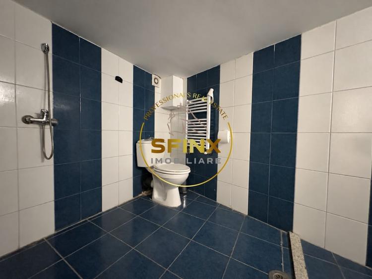 Spațiu comercial, de 150 mp, în Dacia