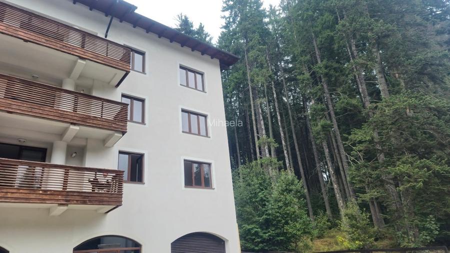 Apartamente de Vacanta Partia Clabucet Predeal Apartamente de Vacanta Partia Clabucet Predeal