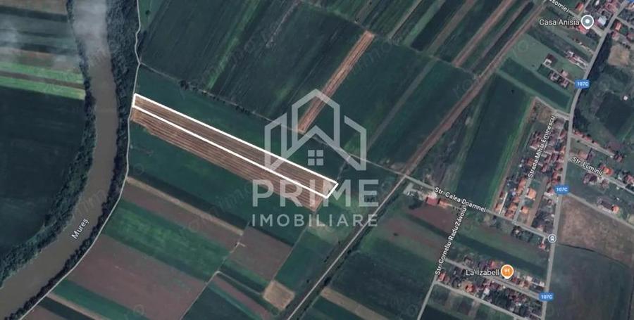 TEREN INTRAVILAN 7500 mp - CIUGUD - 1