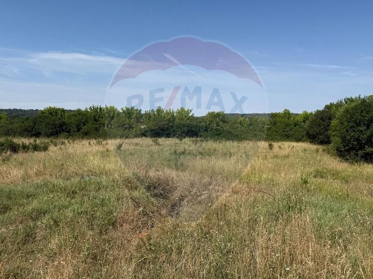 Teren Intravilan Craiova 2500 mp Strada Popoveni - 3