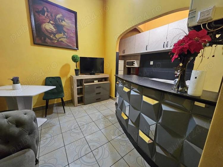 Proprietar, vand ap 2 camere Arad, ultra-central, etaj 1, mobilat si utilat - 5