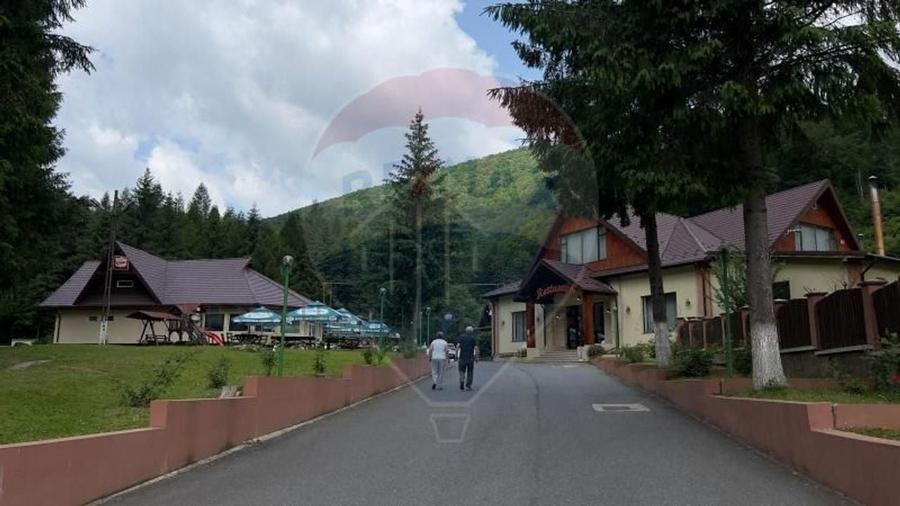 Oportunitate rară in România! Complex turistic Poiana Sărată si pădure - 5