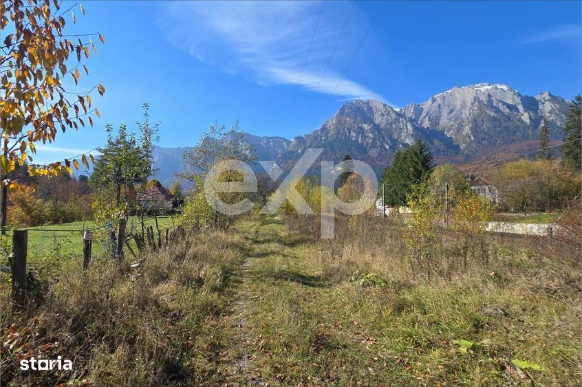 Teren intravilan in Busteni, cu vedere spectaculoasa spre Crucea Carai - 4
