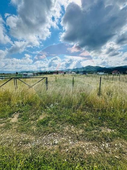 Teren 1,016mp Sighetu Marmatiei / Strada Doboies - 3