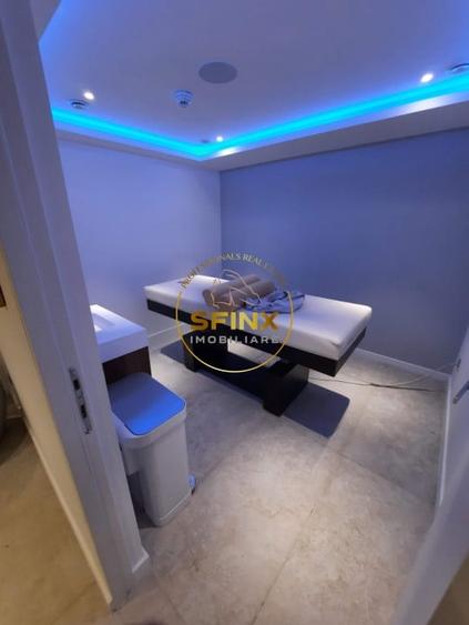 Kiseleff, 4 room penthouse to let, pet friendly, roof terrace, panoramic views - 15