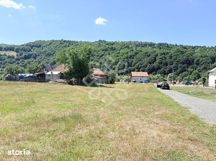 Teren de 4031 mp, în Negreni
