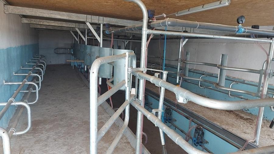 Ferma zootehnică funcțională, populată cu peste 200 capete bovine, aproape de Sâ - 14