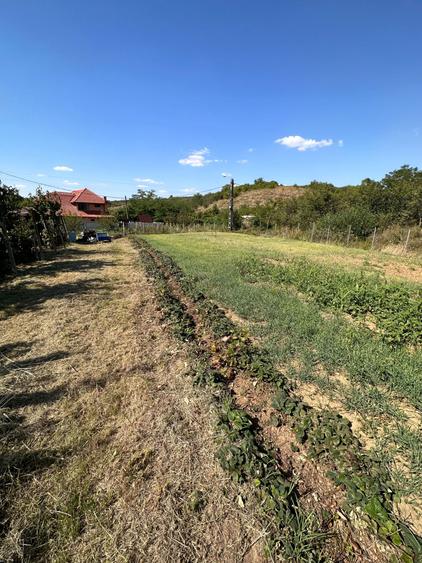 Teren Zona Oncea/Paleu Oradea - 1