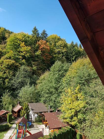 Pensiune 11 camere,Moieciu-Cheia - 2