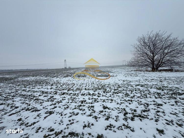 Teren agricol extravilan in Itesti de vanzare - 7