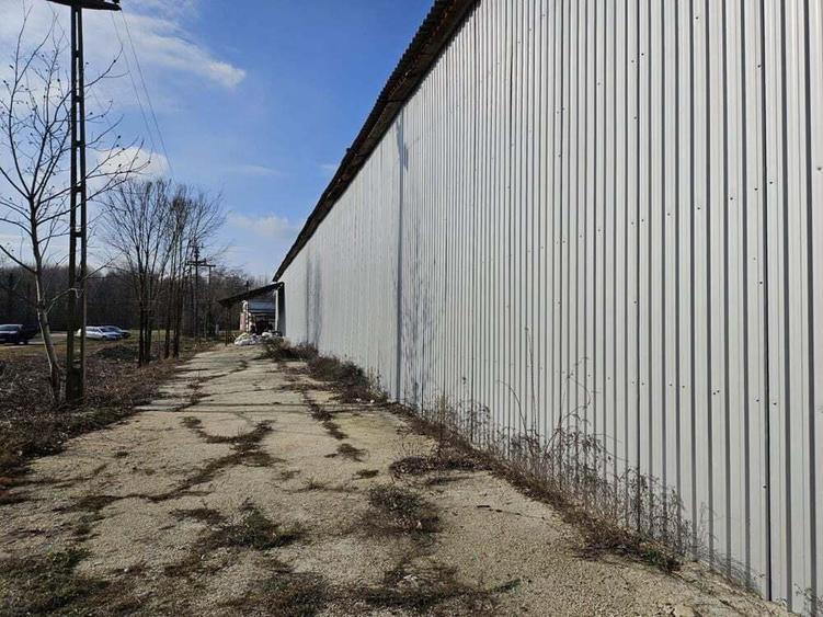 Vanzare amplasament industrial-servicii Tatarasti, Teleorman - 12