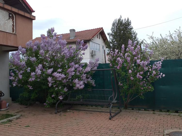 Vanzare casa individuala Otopeni, P+1+Pod, amprenta 130 mp, teren 780 mp - 13