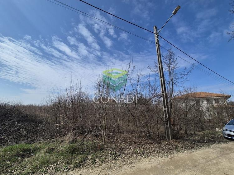 Teren || vis - a - vis de Padure - Balotesti || 2.000 mp - 6