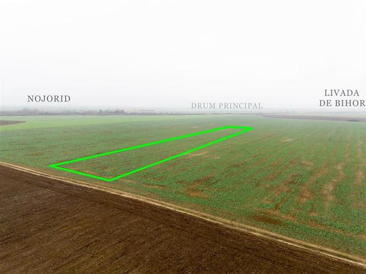 RECO Teren extravilan 5800 mp Livada de Bihor - 1