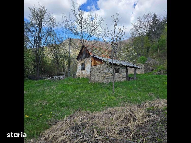 Teren de vis cauta proprietar. - 14