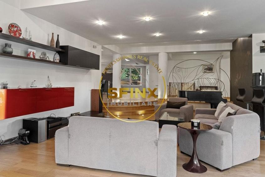 Vila cu teren de 1000mp, gradina matura, piscina, garaj, aproape de Jolie Ville - 12