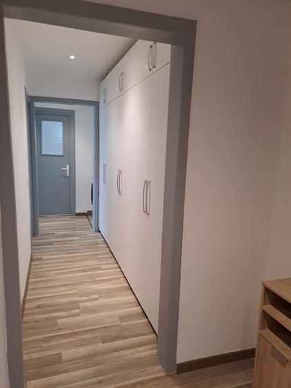 Calea Torontalului, apartament spatios, langa parc - 8