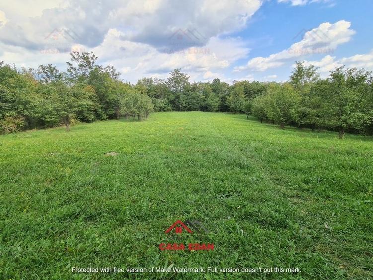 ●Teren intravilan in Poiana Campina,zona retrasa,3287 mp,10e● - 7