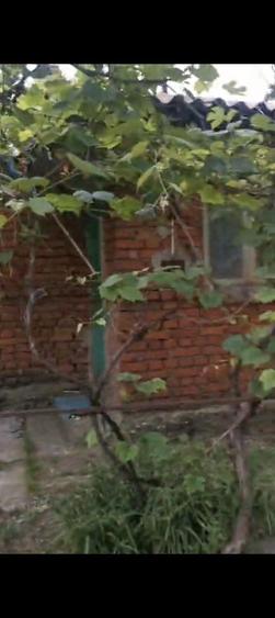 Casa de vanzare sat Crivina Comuna Gorgota - 7